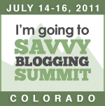 Savvy Blogging Summit