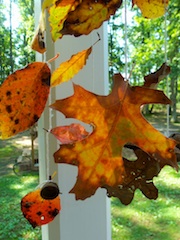 Fall leaf craft