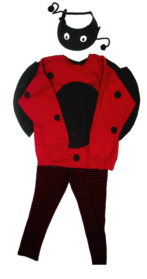 Ladybug costume