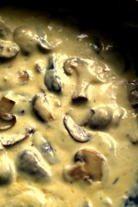 Pasra with mushroom white wine and cream